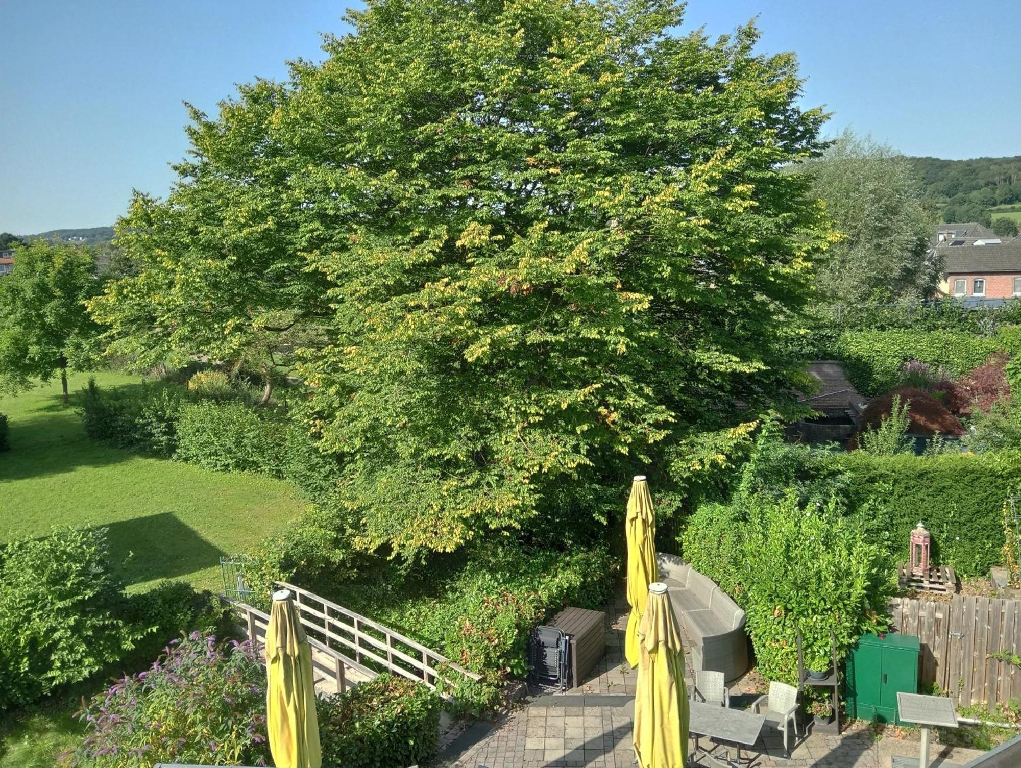 Bnb Het Geluk Van Limburg Mechelen Room photo